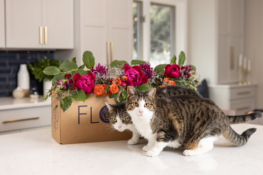 5 Tiny Luxuries That Make Summer Feel Special
