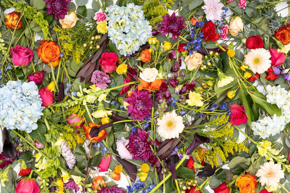 The Lifespan of Your Favorite Flowers