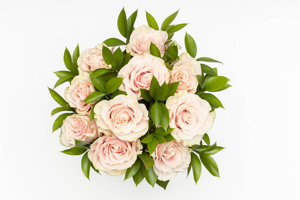 Roses and Ruscus